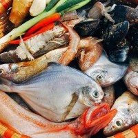 食品